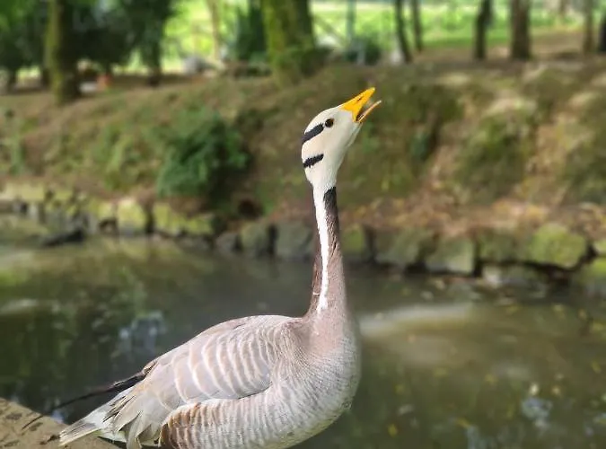 Κατάλυμα σε φάρμα Anziola