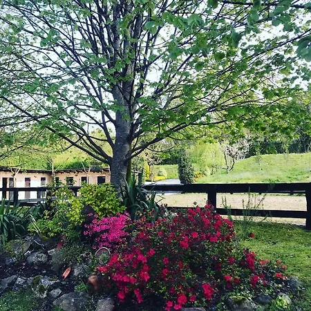 Alloggio per agriturismo Anziola